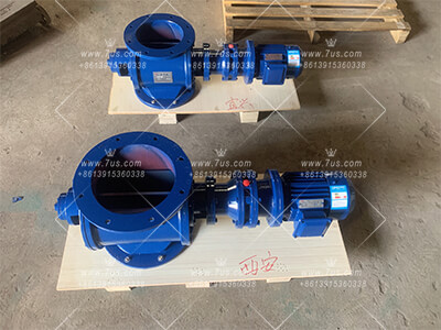 Star Rotary Valve