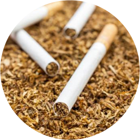 Tobacco Processing